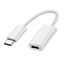 Picture of Apple USB-C to Lightning Adapter
