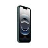 Picture of Apple iPhone 16E Silicone Case - Lake Green