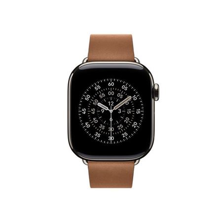 Picture of Apple 42mm Caramel Modern Buckle - Small
