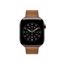 Picture of Apple 42mm Caramel Modern Buckle - Small