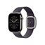 Picture of Apple 42mm Midnight Purple Modern Buckle - Small