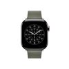 Picture of Apple 42mm Sage Gray Modern Buckle - Medium