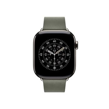 Picture of Apple 42mm Sage Gray Modern Buckle - Medium