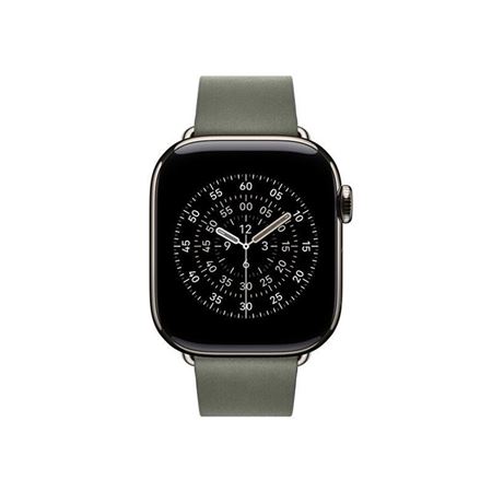 Picture of Apple 42mm Sage Gray Modern Buckle - Medium