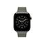 Picture of Apple 42mm Sage Gray Modern Buckle - Medium