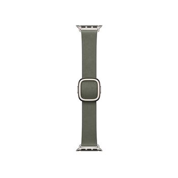 Picture of Apple 42mm Sage Gray Modern Buckle - Small