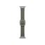 Picture of Apple 42mm Sage Gray Modern Buckle - Small