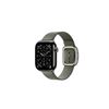 Picture of Apple 42mm Sage Gray Modern Buckle - Small