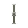Picture of Apple 42mm Sage Gray Modern Buckle - Large