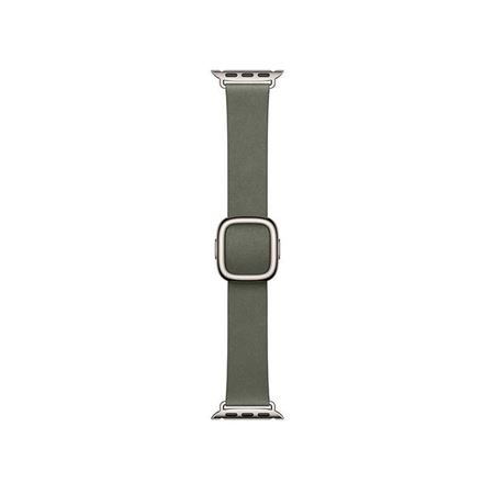 Picture of Apple 42mm Sage Gray Modern Buckle - Large