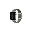 Picture of Apple 42mm Sage Gray Modern Buckle - Large