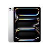 Picture of Apple 13-inch iPad Pro Wi-Fi + Cellular 512GB with Standard Glass - Silver