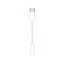 Picture of Apple USB-C to 3.5 mm Headphone Jack Adapter