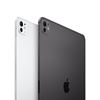 Picture of Apple 11-inch iPad Pro Wi-Fi 1TB with Nano-Texture Glass - Silver