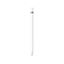 Picture of Apple Pencil (1St Generation)