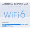 TP-Link Deco X50-Outdoor AX3000 Outdoor/Indoor Mesh Wi-Fi 6 Unit