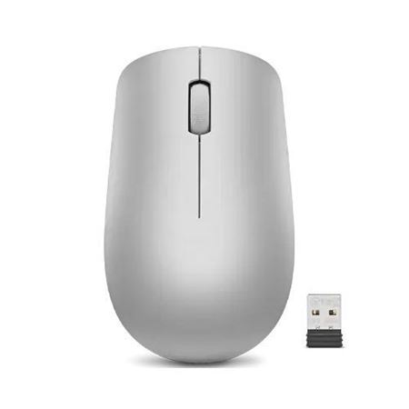Picture of Lenovo 530 Wireless Mouse (Platinum Grey)