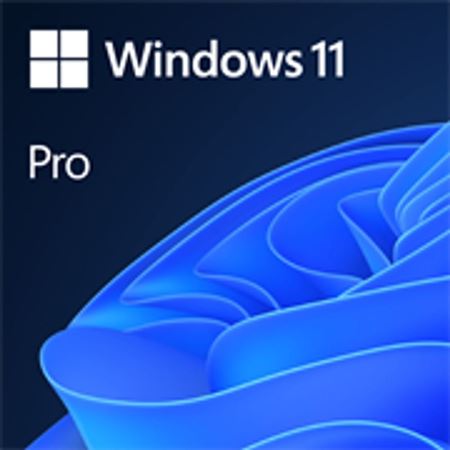 Picture of Microsoft Windows 11 Pro DVD Single User License