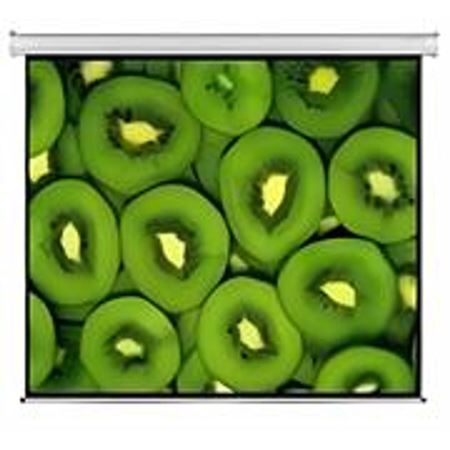 Picture of Esquire Electric Projector Screen 300 x 169