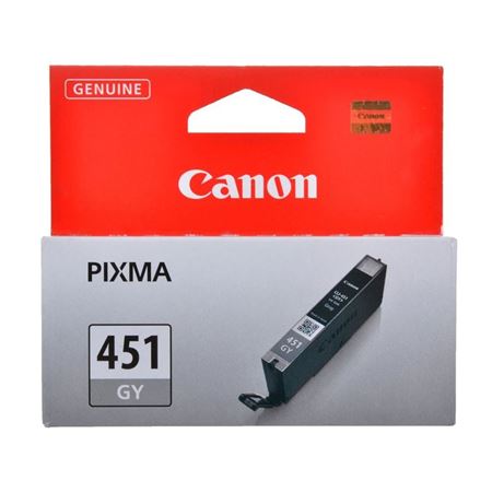 Picture of Canon Ink Cartridge CLI-451 Grey